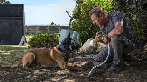 Muzzle: City of Wolves image